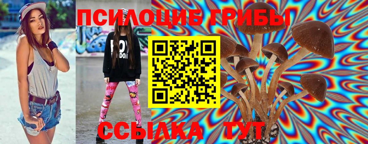 Алексин  Галлюциногенные грибы Psilocybe  Вход с VPN 