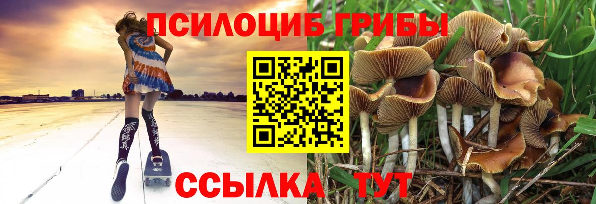 Галлюциногенные грибы MAGIC MUSHROOMS Алексин